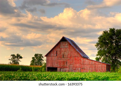 Old, Red Barn In Corn Field