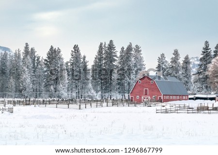 Old Red Barn at the Edge of an Evergreen Forest - Methow Valley, Washington, USA (Winter) 