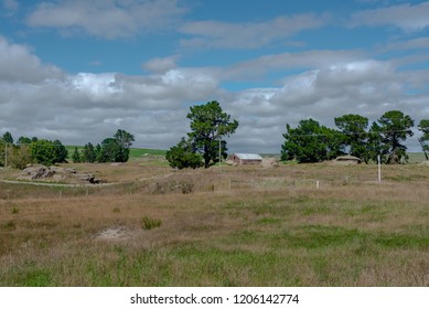 An Old Red Barn And Green Trees Under A Blue Sky On A  Farm In The Hills Of New Zealand.