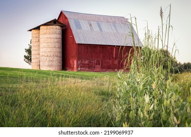 old red barn with twin silo and reeds and milk weed along irrigation ditch at Colorado foothills, late summer scenery at dusk, public Shenandoah Park in Fort Collins