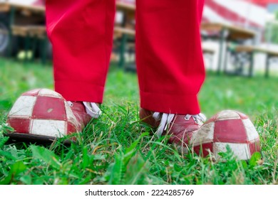 Old Red Clown Shoes On The Green Grass