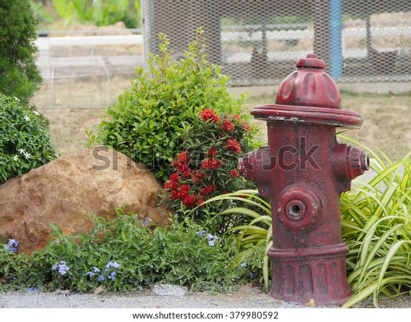 Old Red Fire Hydrant Reused Garden Stock Photo Edit Now 379980592