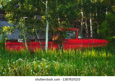 An old red truck partially hidden in tall green grass and trees in a summer landscape