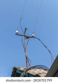 An old retro electrical pole with ceramic insulators attached to a roof top against a bright blue sky.