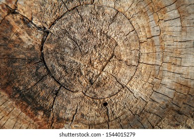 Old Rich Wood Texture Background. Wood Wall For Design And Text, Texture For Designer. Horizontal Image.