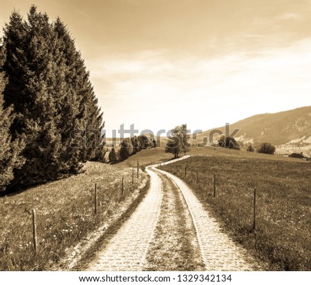 Similar – Image, Stock Photo Road to nowhere Field Hill