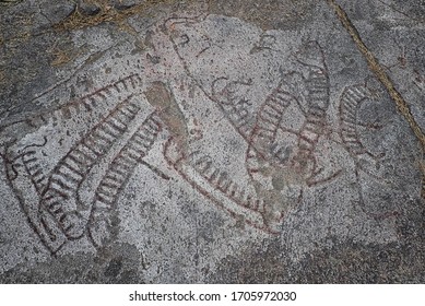 Old Rock Carving With Different Ancient Boat, Animals, Human Shape And Magic Phallus Motives From The Bronze Age