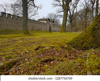 Old Roman Limes Castle In Taunus, Germany