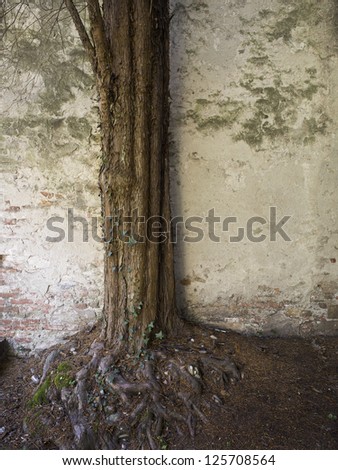 Similar – Foto Bild antike römisch Mauer in Ostia