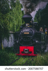 Old Romanian Train Mocanita In Viseu De Sus, Maramures, Romania