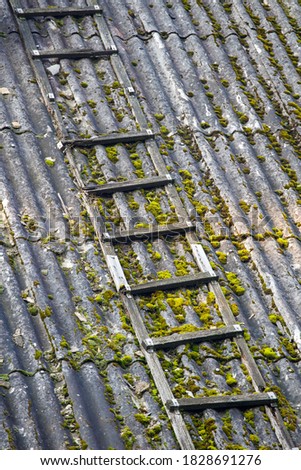 Similar – Image, Stock Photo #A# Roof growth Esthetic