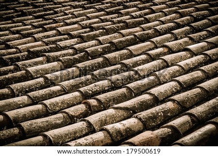 Similar – Image, Stock Photo #A# Roof growth Esthetic