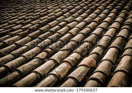 Similar – Image, Stock Photo #A# Roof growth Esthetic