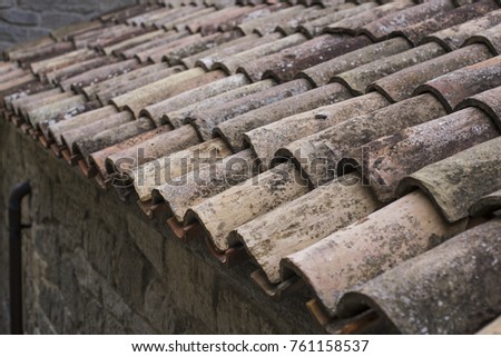 Similar – Image, Stock Photo #A# Roof growth Esthetic