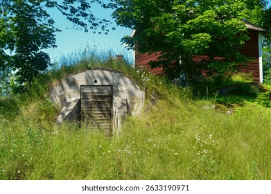 Old Root Cellar Hidden in Lush Summer Vegetation Near Rustic Barn
