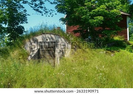 Old Root Cellar Hidden in Lush Summer Vegetation Near Rustic Barn
