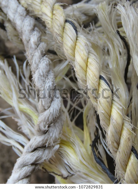An old rope broken\
threads.