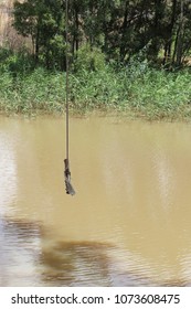 An Old Rope Swing Over A Muddy Creek In Rural Australia