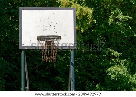 Old rotten basketball hoop at the edge of the forest.