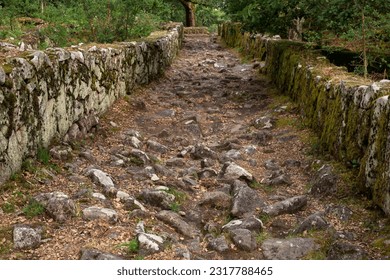 
Old rough and bumpy path with stones