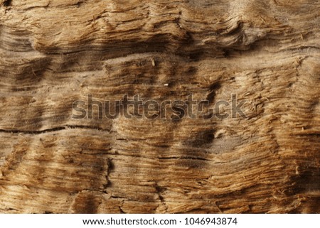 old rough wood texture wooden background の写真素材 今すぐ編集