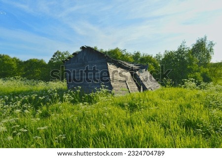 an old ruined wooden house in the middle of a field. rickety walls and the roof of the house is almost destroyed. nice wonderful summer day. 
