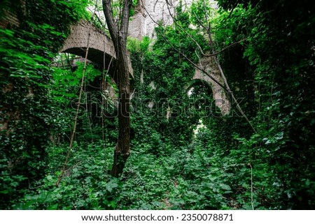 Old ruins of historical building overgrown by vegetation green post-apocalyptic concept.