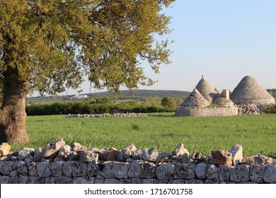 Old Rural Countryside Trulli In Puglia, Italy