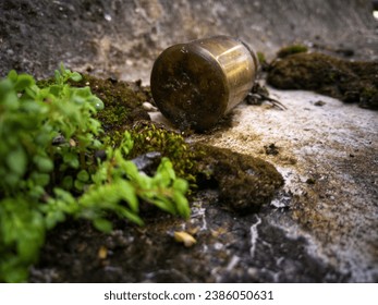 old rusted, abandon glass bottle wallpaper - A glass vial