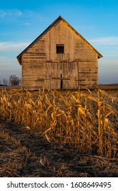 Old Rustic Barn In Cornfield At Sunset.  LaSalle County, Illinois, USA