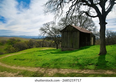 Old rustic barn and oak trees on lush green hillside.