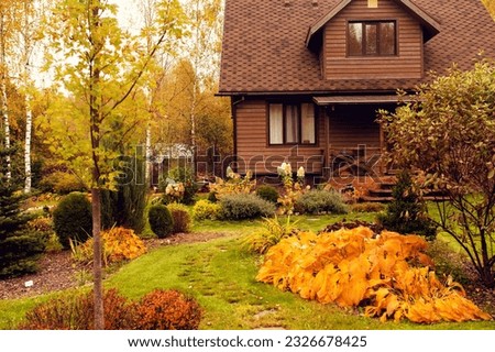 old rustic country house and autumn garden view. Bright hosta leaves, brown wooden lodge, natural style.
