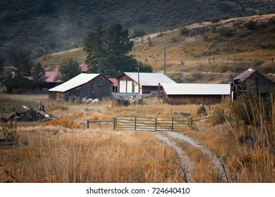 Old Rustic Homestead In Fall Colors, Vintage, 