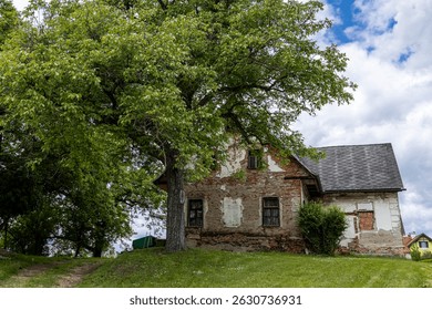 Old Rustic House Under a Large Tree.  An abandoned brick house with peeling paint, surrounded by lush greenery