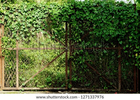 Similar – Image, Stock Photo Stories from the fence .156