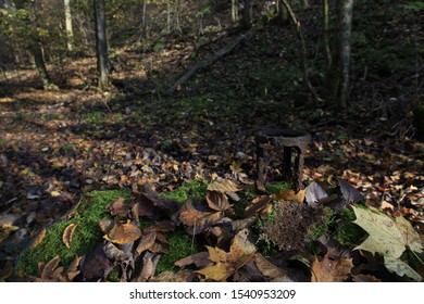 Old rustic iron object in the forest,Slovakia