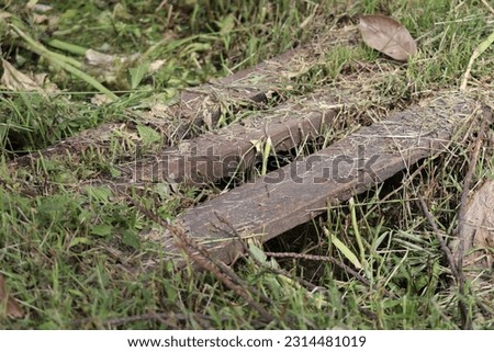 Old rustic planks on a dried ditch with grass grow all over it in close up view