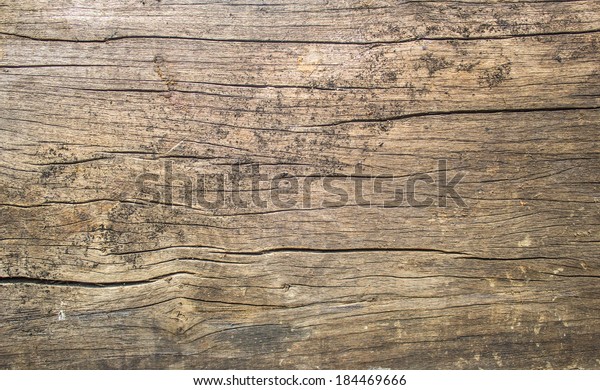 old rustic wood with mold or fungal background texture\
top view 