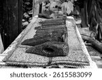 Old rusting axe heads lined up