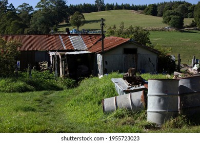 Old rusting corrugated iron dairy farm shed in Ferndale near Warragul, Gippsland, rural Victoria on a warm sunny afternoon.