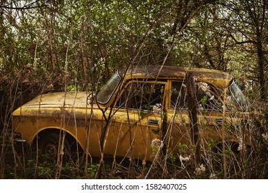 4件の Car Wreck Bush の画像 写真素材 ベクター画像 Shutterstock