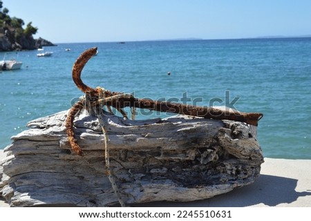 An old rusty anchor on a piece of dried wood on the seashore
