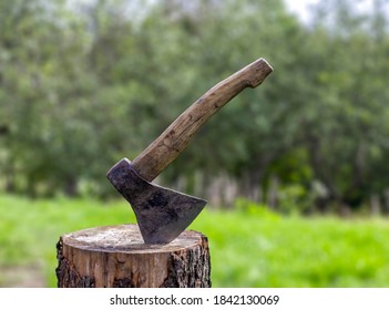 Old rusty axe with wooden handle stuck in the stump. blurred background with pile of wood logs, Large ax sticks out in felled wood of background of forest. Blurred background, sunlight effect
