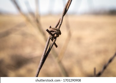 Old, Rusty Barbed Wire. Boundary, Barrier And Prohibition. Farm Fencing, Animal Husbandry