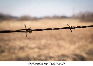 Old, Rusty Barbed Wire. Boundary, Barrier And Prohibition. Farm Fencing, Animal Husbandry