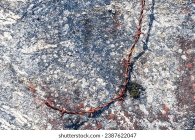 Old rusty barbed wire on rock