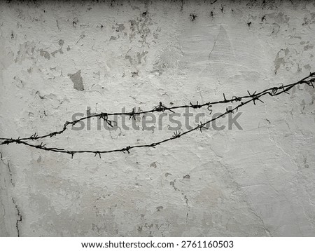 Old Rusty Barbed Wire on a Distressed White Wall Background