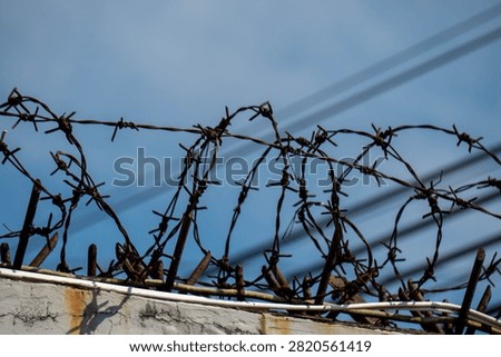 Old and rusty barbed wire usually used for security fences. This wire is made with sharp edges with a blue sky background.