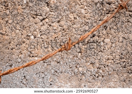 old rusty barbedwire hanging over a grey cement wall