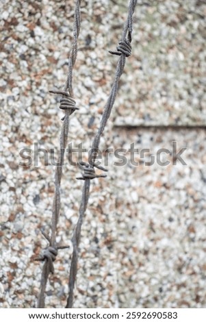 old rusty barbedwire hanging over a grey cement wall